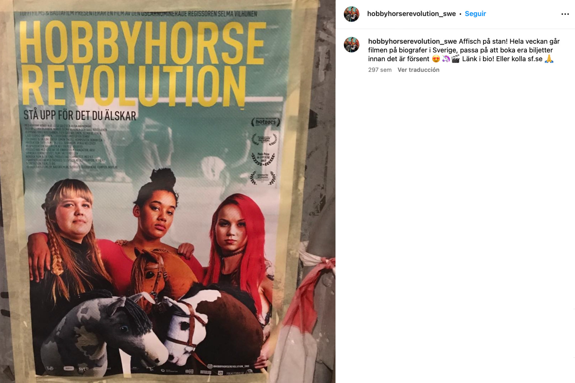 'Hobbyhorse Revolution'