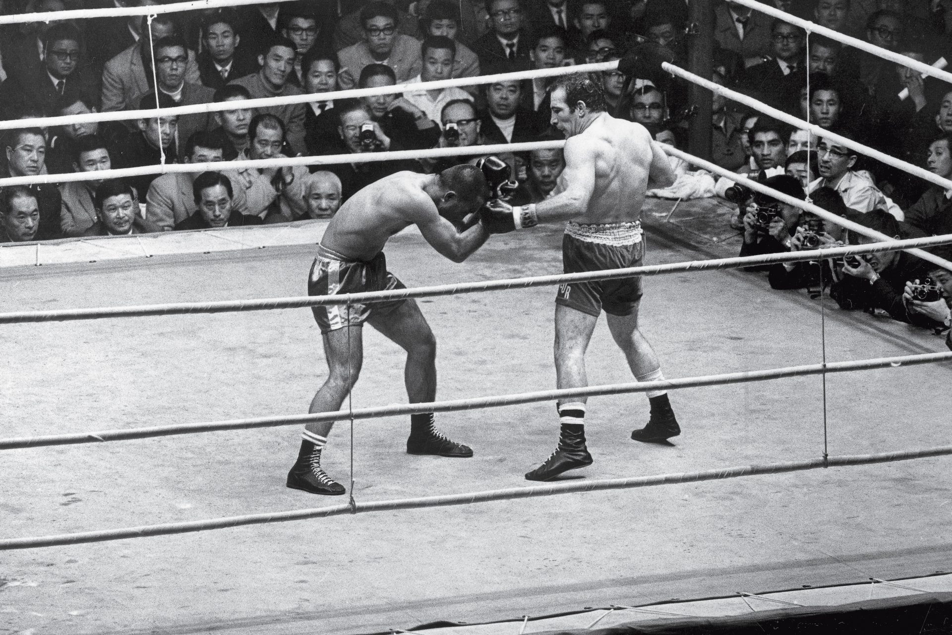 The anti-boxer