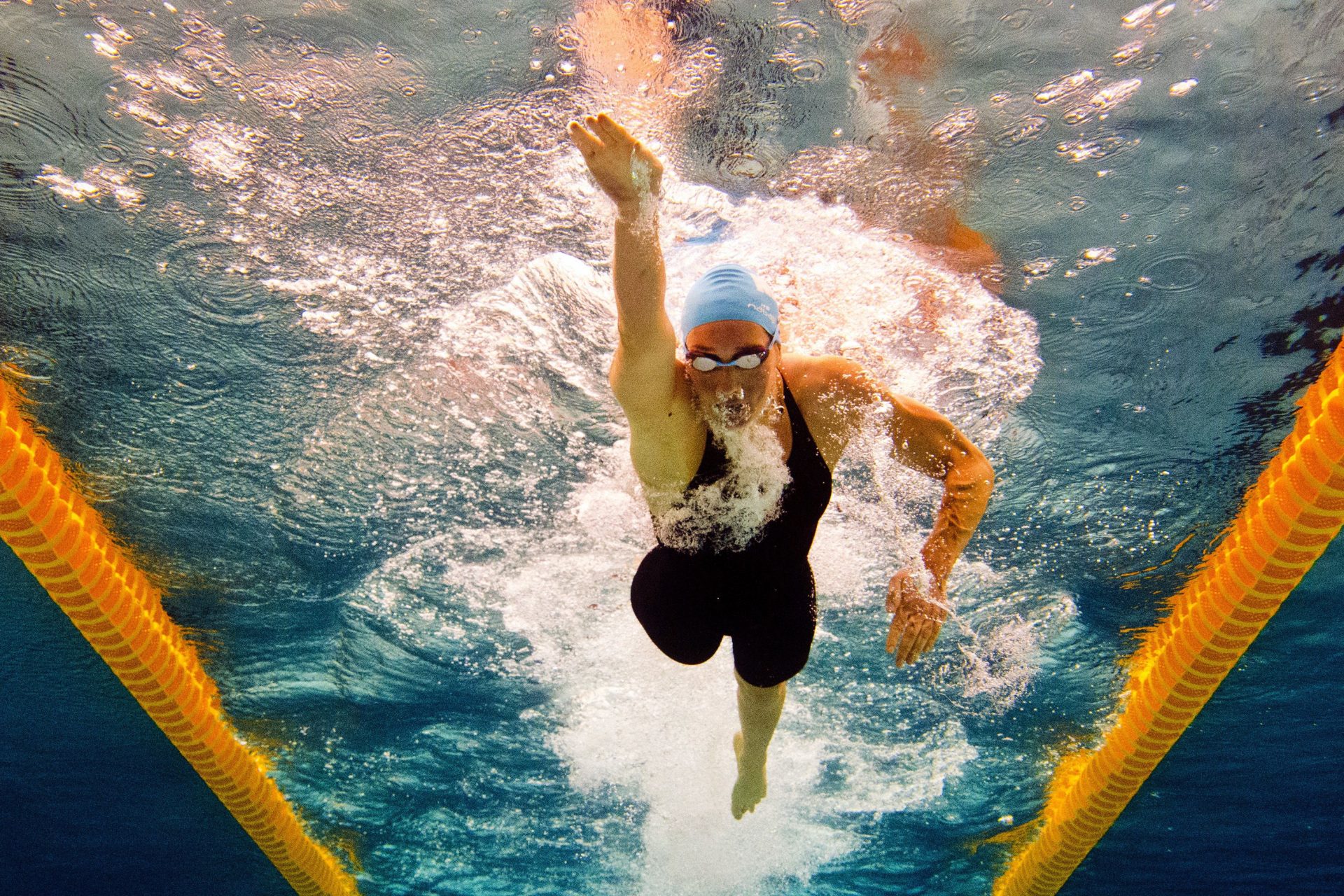 2 février : championnats du monde de natation