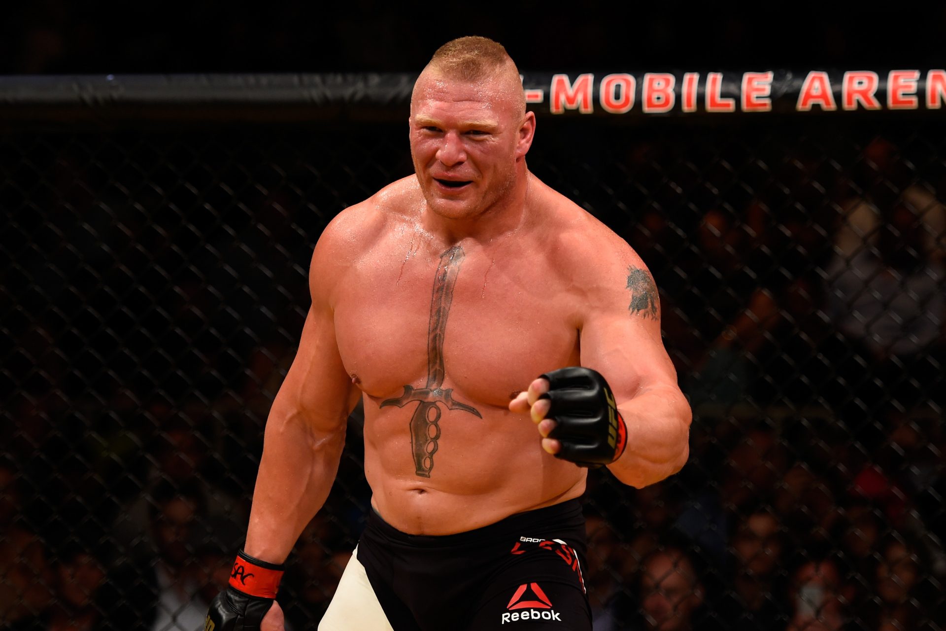 Brock Lesnar, the only ever UFC and WWE champion