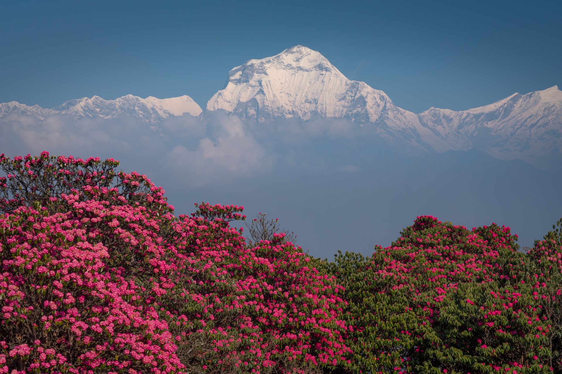 Dhaulagiri – 29 September 2023