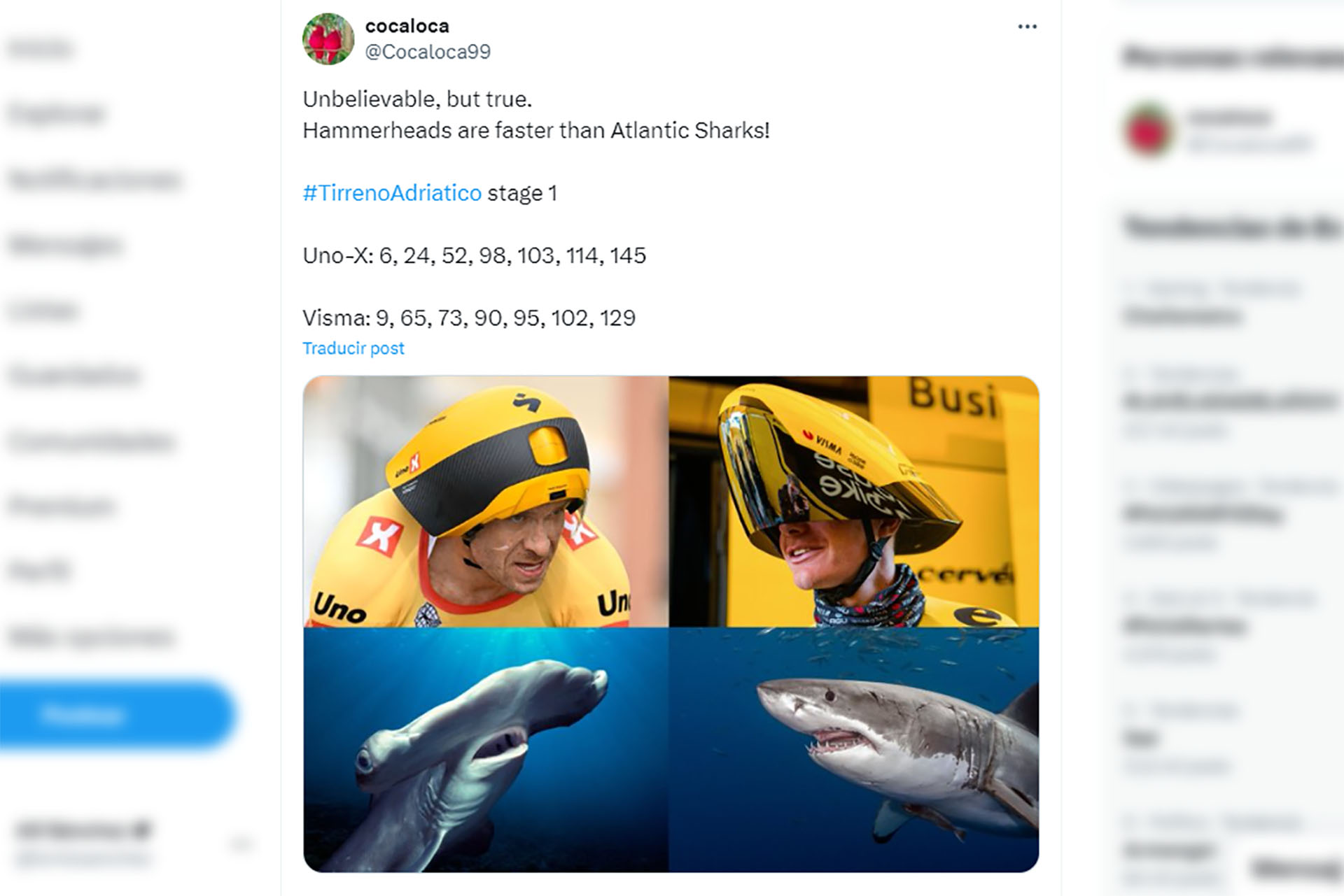 Tiburones martillo contra tiburones del Atlántico