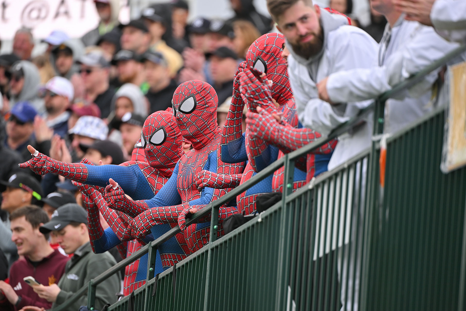 Muchos Spider-Man animando desde la grada