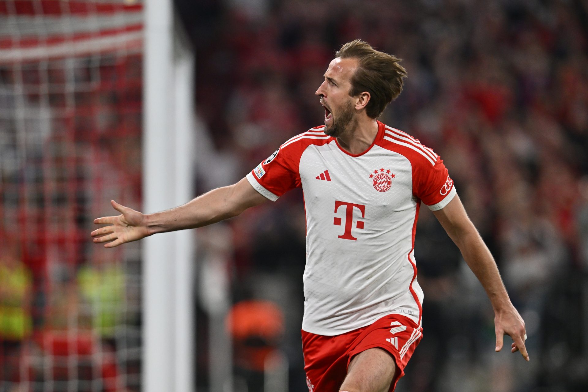 Der Fluch des Harry Kane - Kein Titel für den 1. FC Bayern München