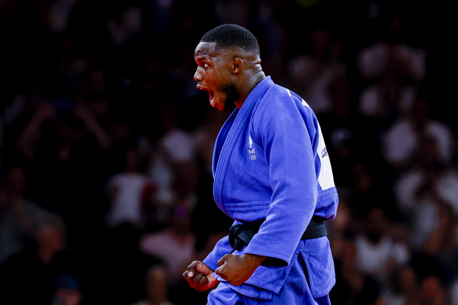 Médaille de bronze : Maxime-Gaël Ngayap Hambou - Judo -90 kg