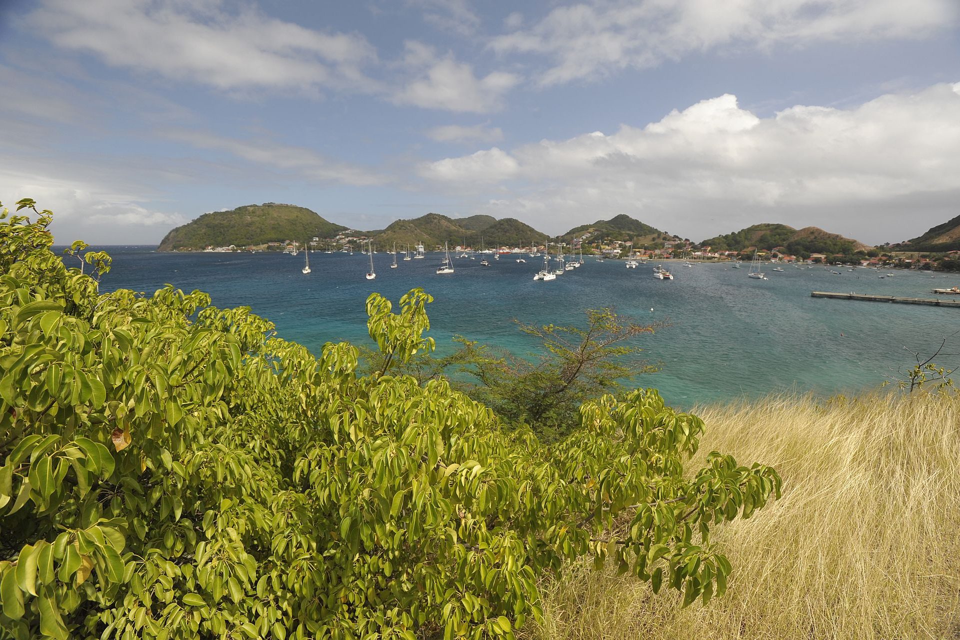 Guadeloupéen puis parisien