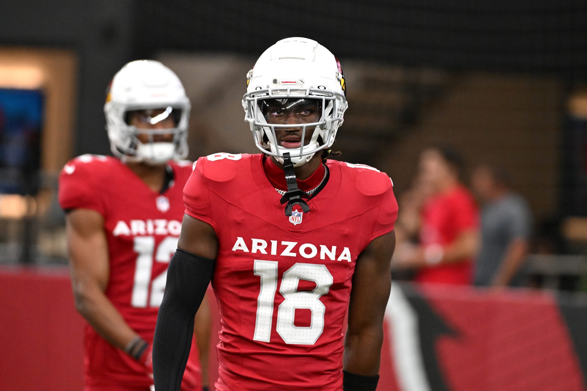 15. Arizona Cardinals