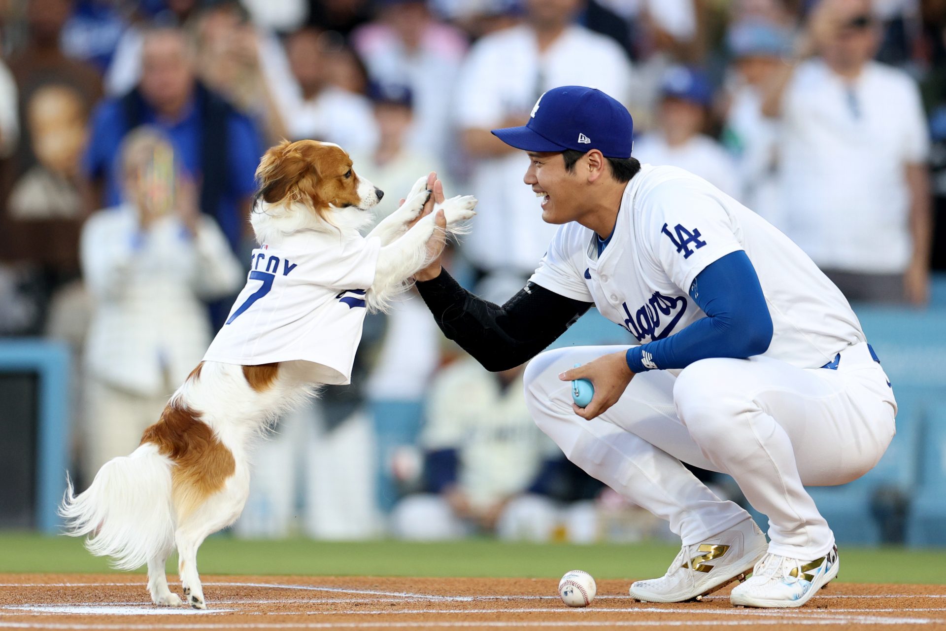 Playoff baseball, there’s nothing like it