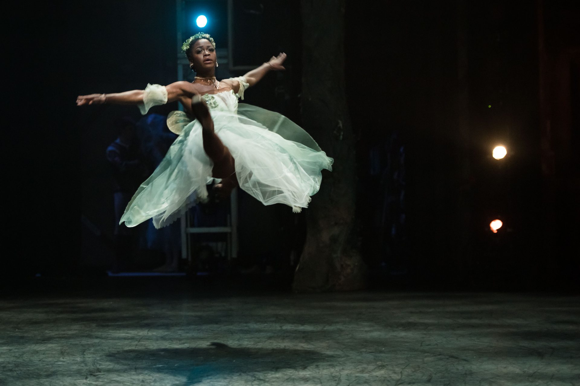 Michaela DePrince: The tragic death that left the ballet world in tears