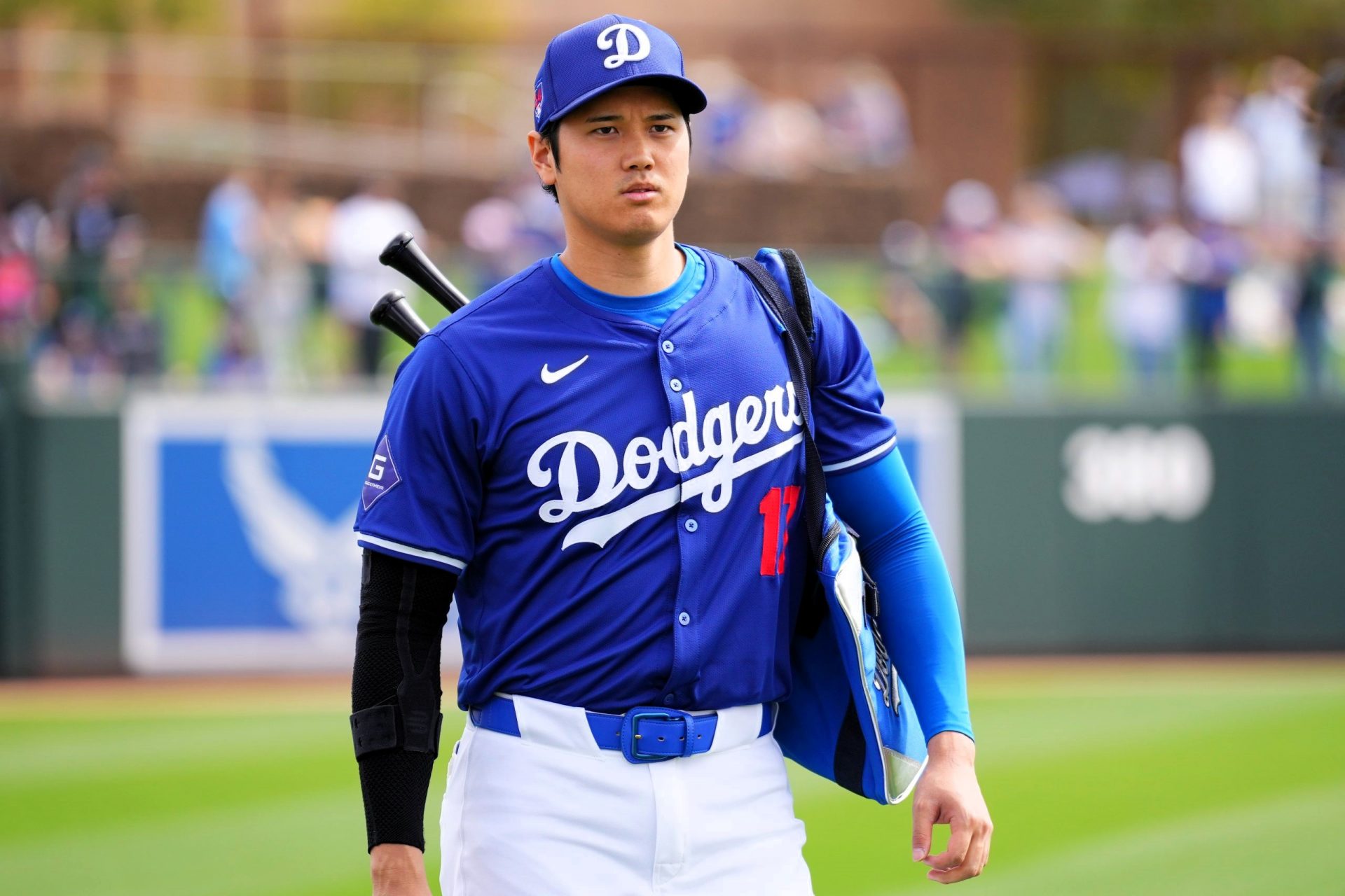 Interessante Fakten über Baseballspieler Shohei Ohtani