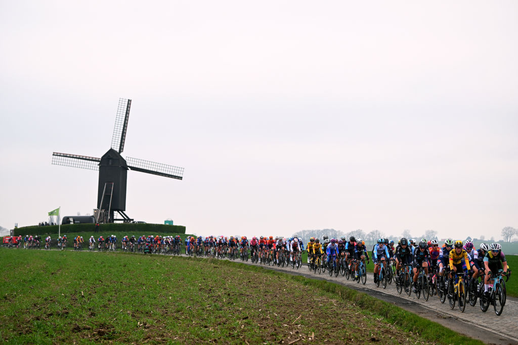 Tour des Flandres - 6 avril 2025 - Mathieu Van der Poel 