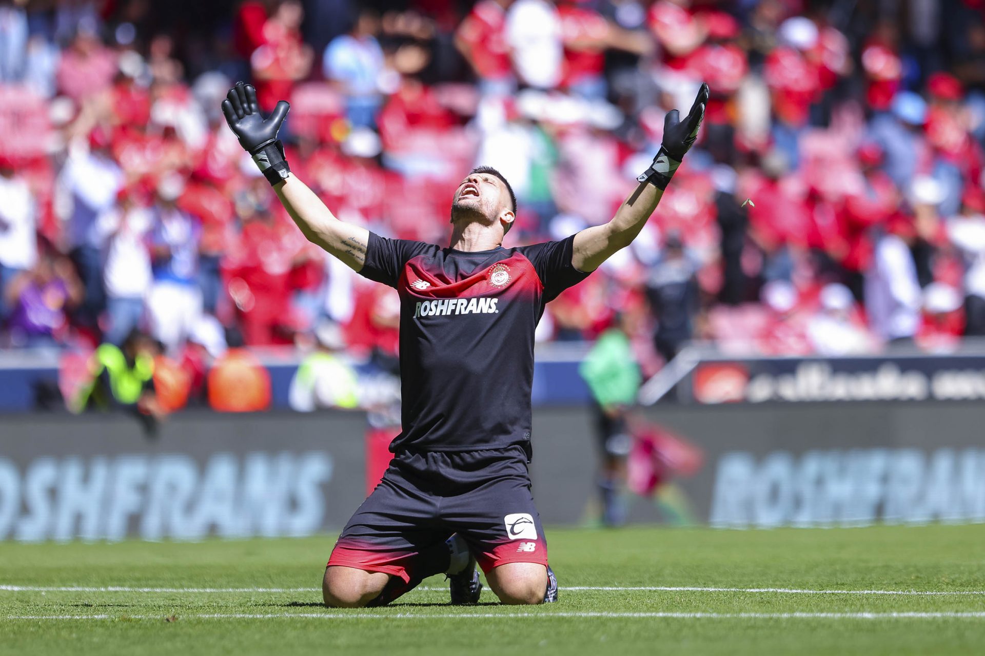 'Amor verdadero e inmensa gratitud' por Toluca