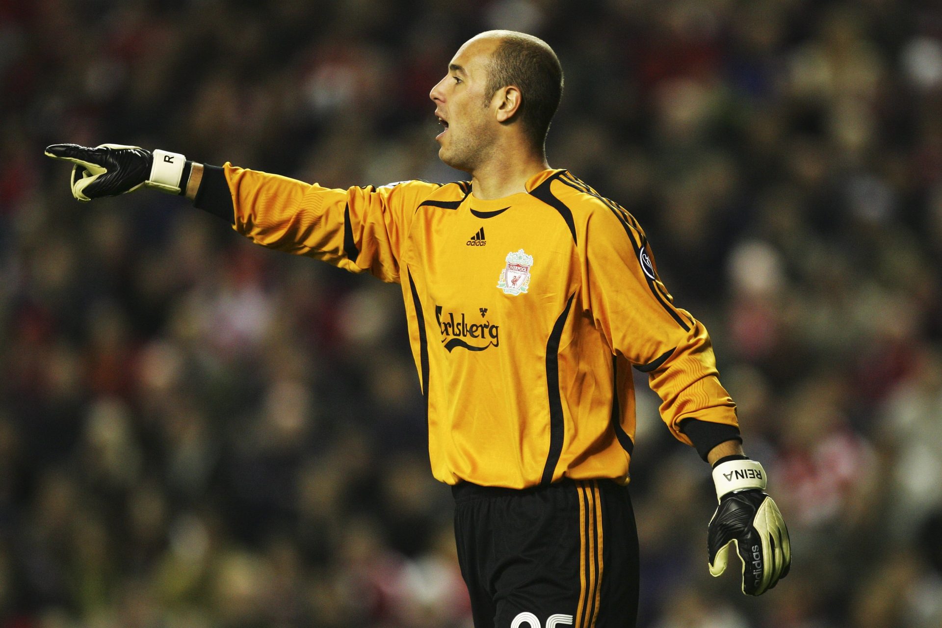 2005/06 (Pepe Reina) 