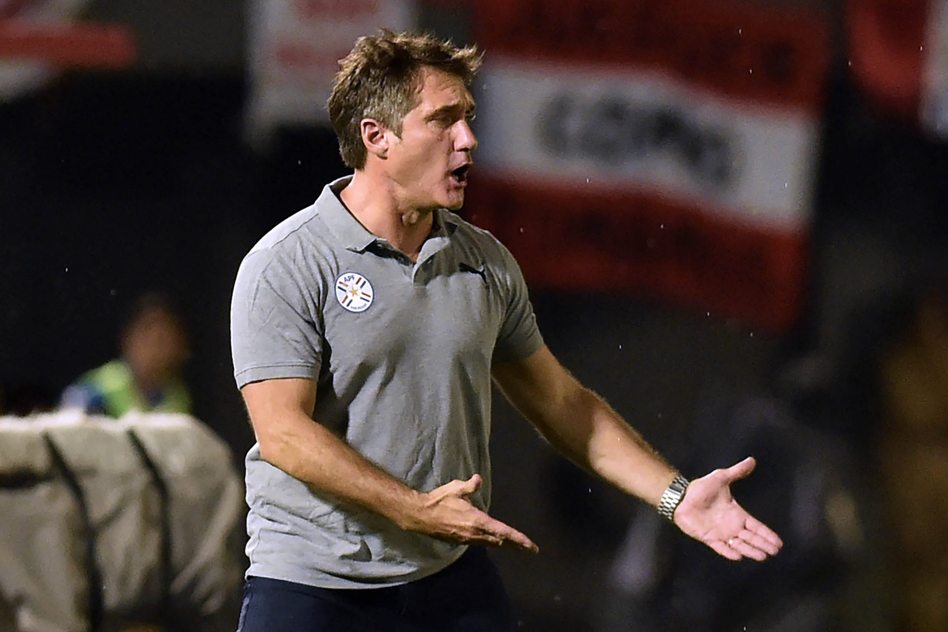 Guillermo Barros Schelotto