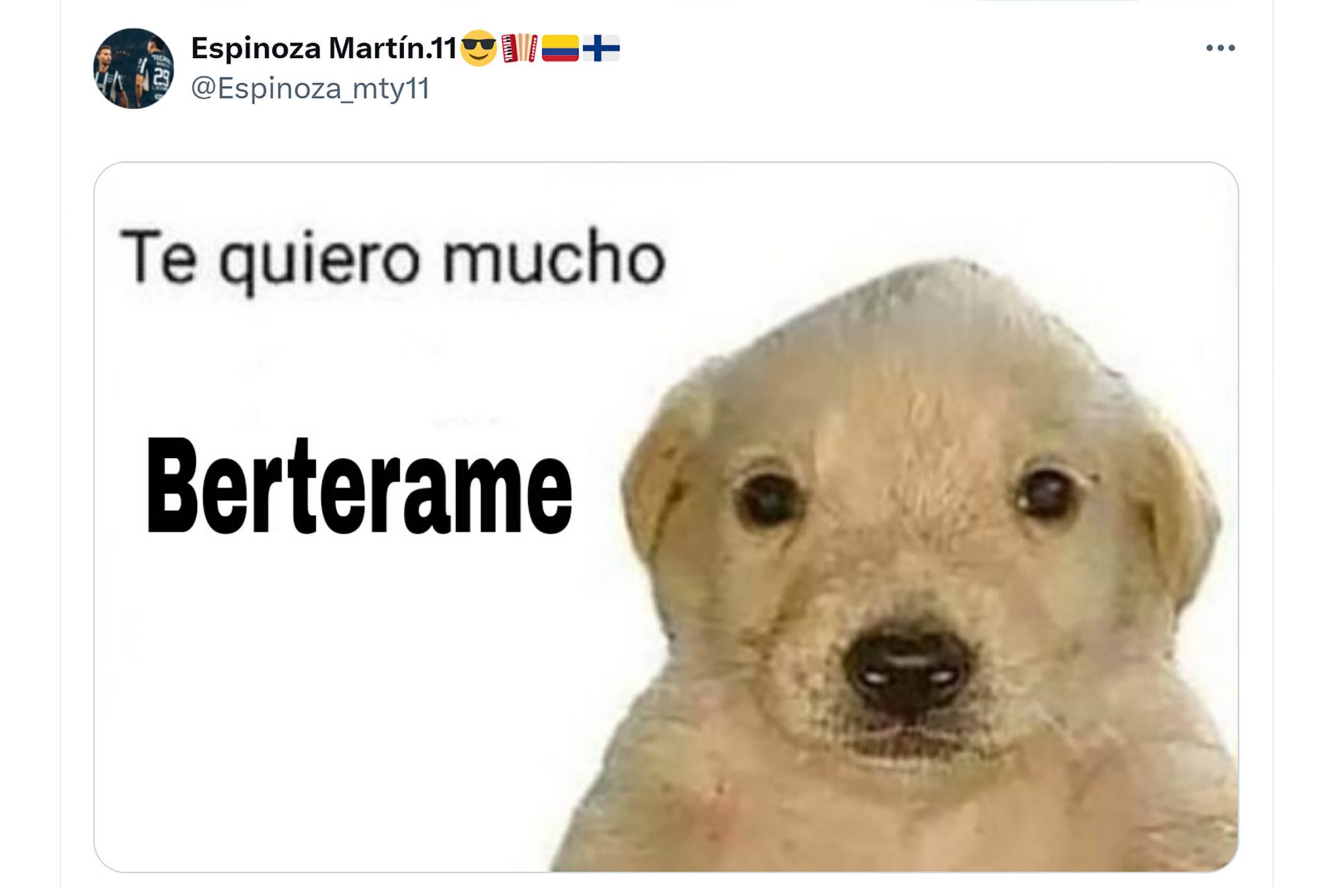 Doblete de Germán Berterame